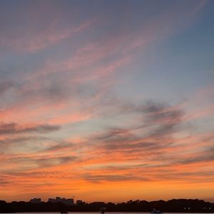 Meet your Posher, Ava